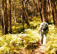 Federal Pass - Accommodation Whitsundays