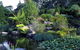 Blue Mountains Botanic Garden - thumb 1