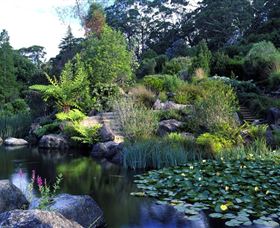 Blue Mountains Botanic Garden - Accommodation Whitsundays 1