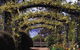 Blue Mountains Botanic Garden - thumb 0
