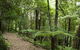 Blue Mountains Botanic Garden - thumb 3