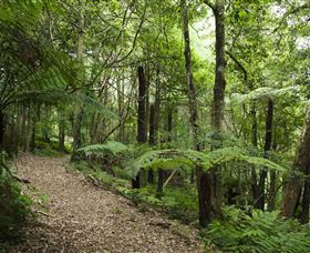 Blue Mountains Botanic Garden - Accommodation Whitsundays 3