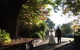Blue Mountains Botanic Garden - thumb 7