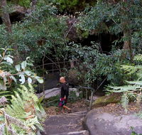 Leura Cascades Fern Bower - Accommodation Whitsundays