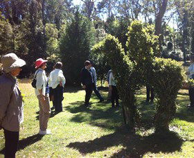 Wildwood Garden - Accommodation Whitsundays 3