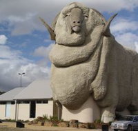Big Merino - Accommodation Whitsundays