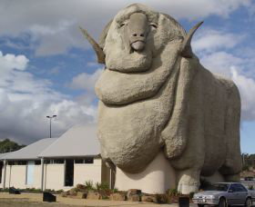Big Merino - Accommodation Whitsundays 0
