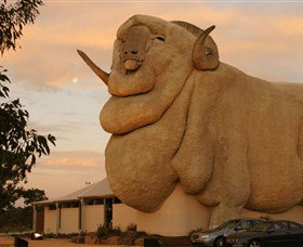 Big Merino - Accommodation Whitsundays 3