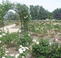 Victoria Park Rose Garden - Accommodation Whitsundays