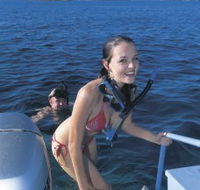 Seal Cove - Accommodation Whitsundays