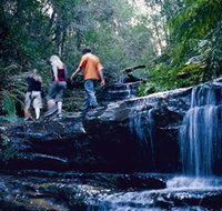 South Lawson Waterfall Circuit - Accommodation Whitsundays
