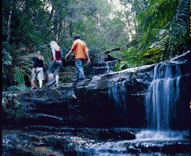 South Lawson Waterfall Circuit - Accommodation Whitsundays 0