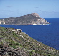Bald Head Walking Track - Accommodation Whitsundays