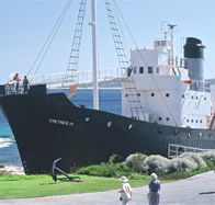 Discovery Bay Tourism Experience - Accommodation Whitsundays