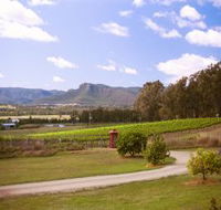 Catherine Vale Wines - Accommodation Whitsundays