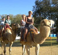 Calamunnda Camel Farm  - Accommodation Whitsundays