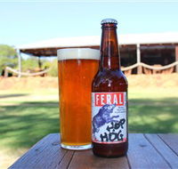 Feral Brewing Company - Accommodation Whitsundays