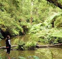 Morwell National Park - Accommodation Whitsundays