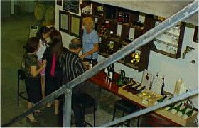 John Kosovich Wines - Accommodation Whitsundays 1