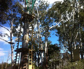 Trees Adventure Grose River Park - Accommodation Whitsundays 1