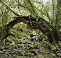 Mitchell River National Park - Accommodation Whitsundays