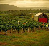 Around Hermitage Wine and Food Trail Hunter Valley - Accommodation Whitsundays