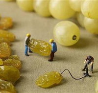 Hunter Valley Wine School - Accommodation Whitsundays