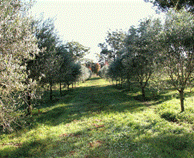 Langdale Farm - Accommodation Whitsundays