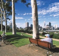 Kings Park and Botanic Garden - Accommodation Whitsundays