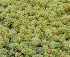 Normanby Wines - Accommodation Whitsundays 0