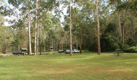 Mill Creek Picnic Area - Accommodation Whitsundays 0