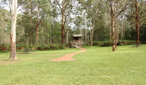Mill Creek Picnic Area - Accommodation Whitsundays 2