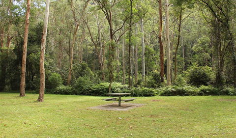 Mill Creek Picnic Area - Accommodation Whitsundays 1