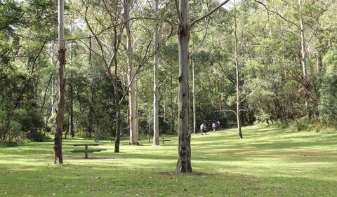 Mill Creek Picnic Area - Accommodation Whitsundays 3