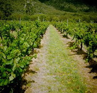 Gartelmann Wines - Accommodation Whitsundays
