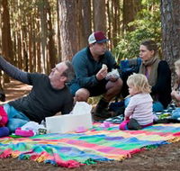 State Forests of the Watagan Mountains - Accommodation Whitsundays