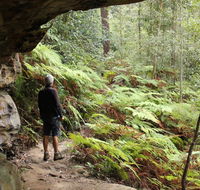 Dharug National Park - Accommodation Whitsundays