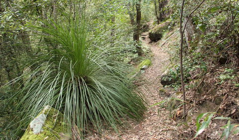Dharug National Park - Accommodation Whitsundays 2
