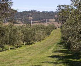 Bunna Bunoo Olive Grove - Accommodation Whitsundays 1