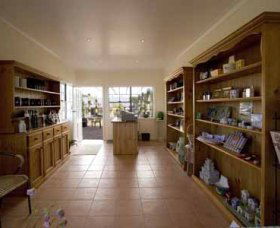 Bunna Bunoo Olive Grove - Accommodation Whitsundays 2