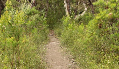 Three Views Walking Track - Accommodation Whitsundays 0