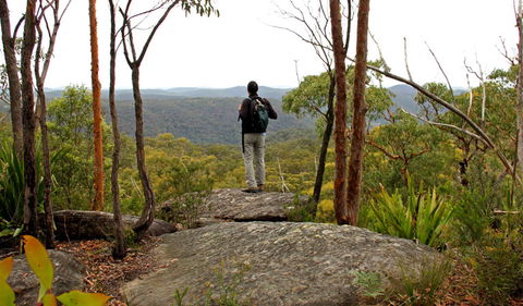 Mount Olive Lookout - Accommodation Whitsundays 1
