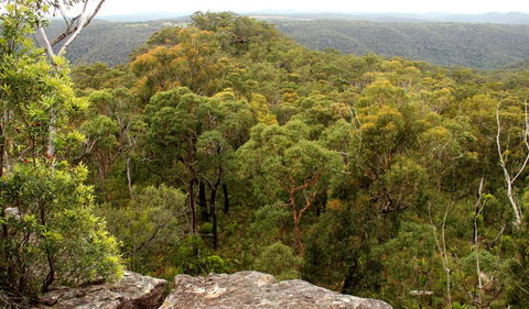 Mount Olive Lookout - Accommodation Whitsundays 0