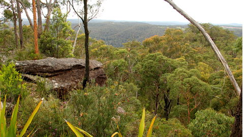 Mount Olive Lookout - Accommodation Whitsundays 2