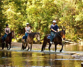 Glenworth Valley Outdoor Adventures - Accommodation Whitsundays 2