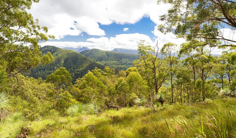 Unumgar NSW Accommodation Whitsundays