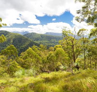 Toonumbar National Park - Accommodation Whitsundays