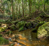 Palm Grove Nature Reserve - Accommodation Whitsundays