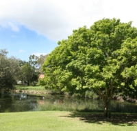 Hervey Bay Botanic Gardens - Accommodation Whitsundays