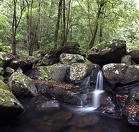 Kangaroo River - Accommodation Whitsundays